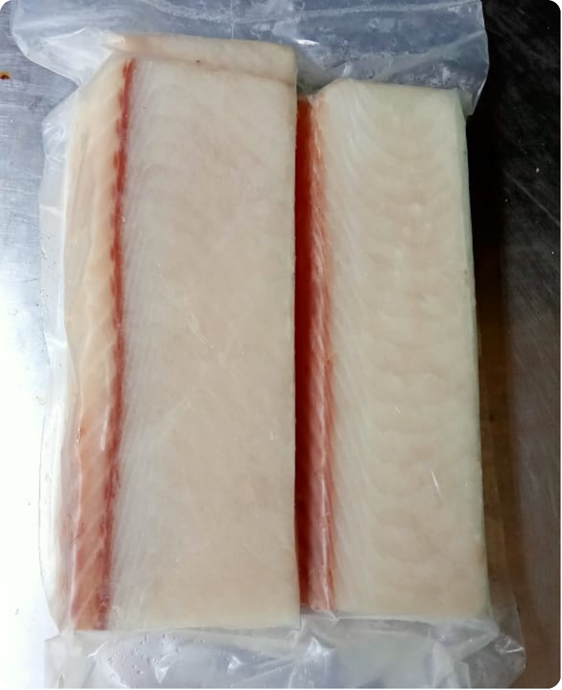 Fillet Ikan Beku